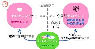 アンチエイジングと仙術 立禅 チョコ2000個分の幸福感をもたらす幸せホルモン セロトニン 日本立禅会